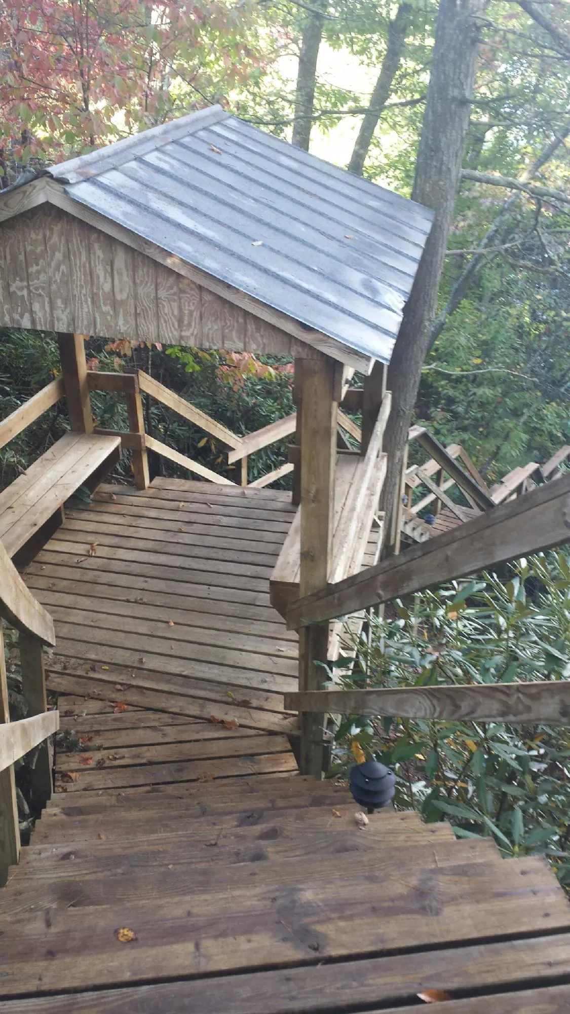 Metal roofed shelter over wooden steps on a wooded walkway — Skylight Repair & Installation work by our crew in Bybee