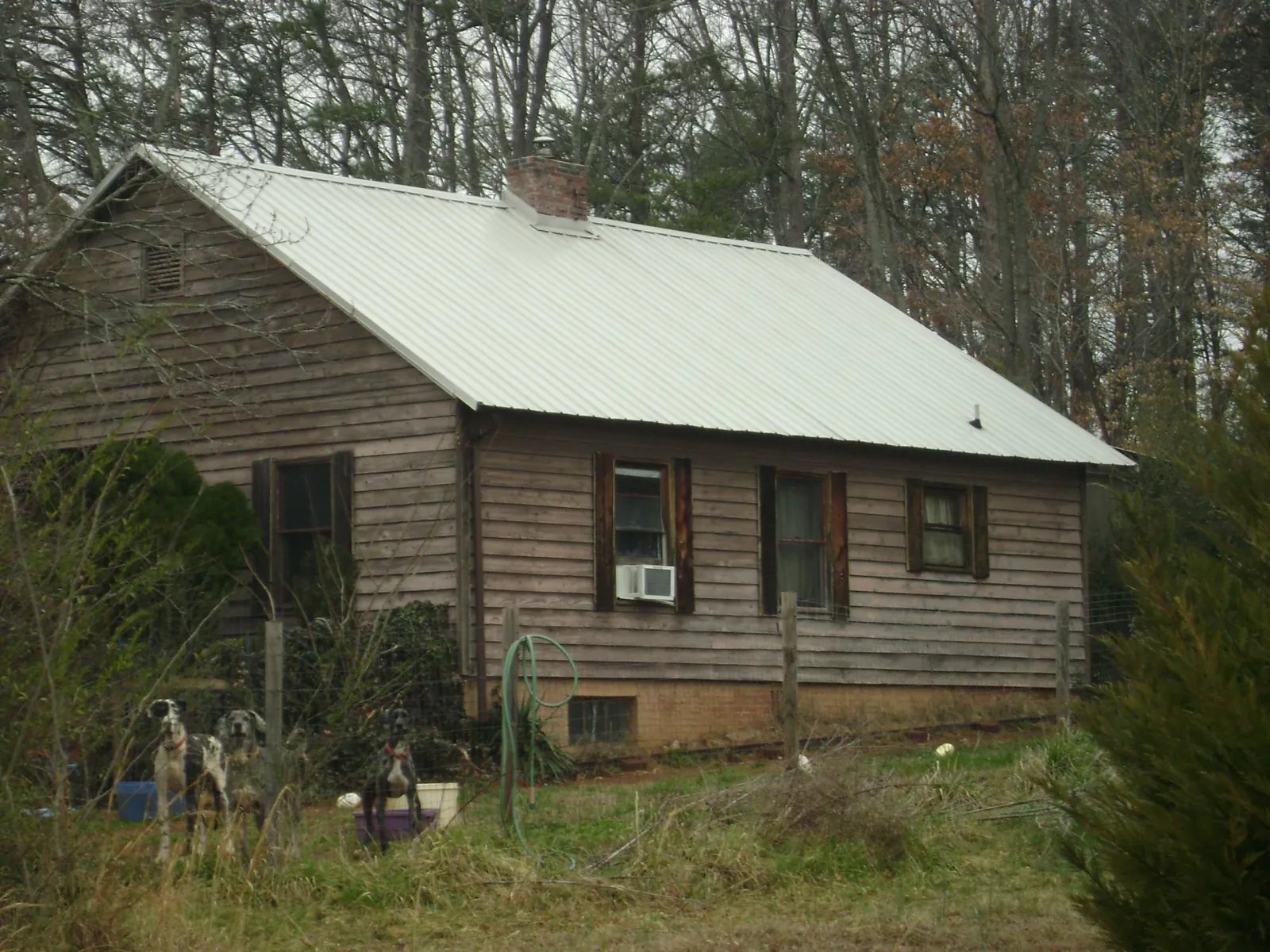 White metal roof on an old wood sided farmhouse, from a Metal Roof Installation job in Bybee